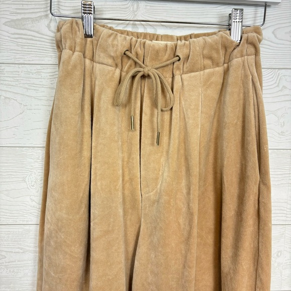 Urban Outfitters Tan Velour Joggers Size XS Cozy Comfy - Picture 10 of 11